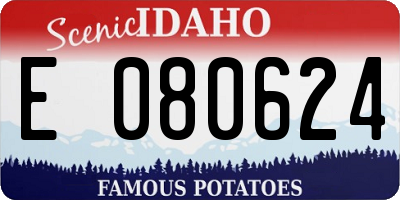 ID license plate E080624