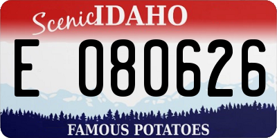 ID license plate E080626