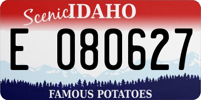 ID license plate E080627