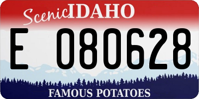 ID license plate E080628