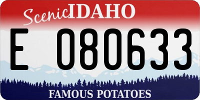 ID license plate E080633