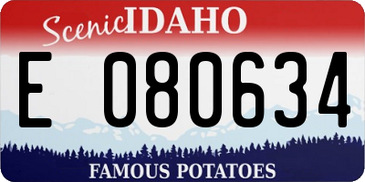 ID license plate E080634