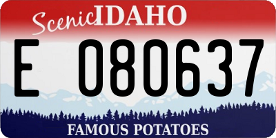 ID license plate E080637