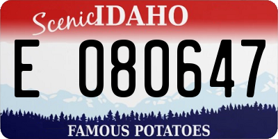 ID license plate E080647