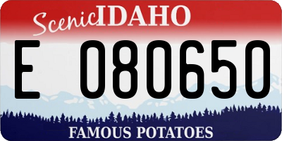 ID license plate E080650