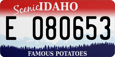 ID license plate E080653