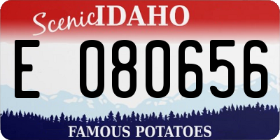 ID license plate E080656