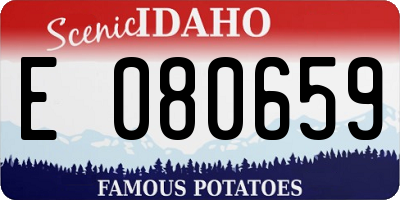ID license plate E080659
