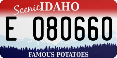 ID license plate E080660