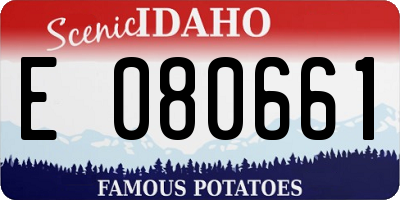 ID license plate E080661