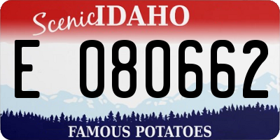 ID license plate E080662