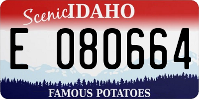 ID license plate E080664