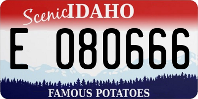 ID license plate E080666