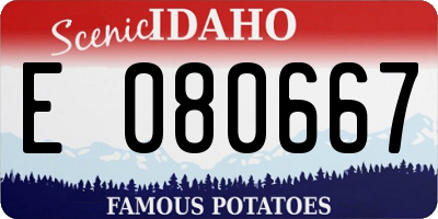 ID license plate E080667