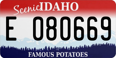 ID license plate E080669