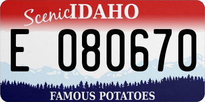 ID license plate E080670