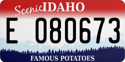 ID license plate E080673