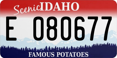 ID license plate E080677