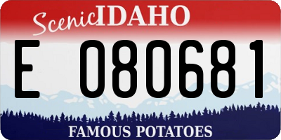 ID license plate E080681