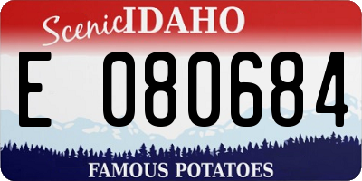 ID license plate E080684
