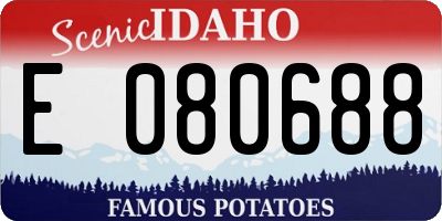 ID license plate E080688