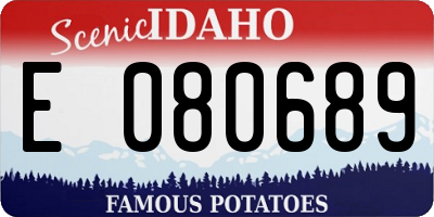 ID license plate E080689