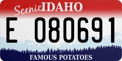 ID license plate E080691