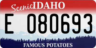 ID license plate E080693