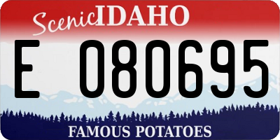 ID license plate E080695