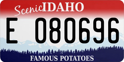 ID license plate E080696
