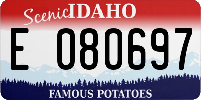 ID license plate E080697