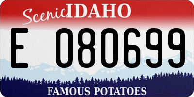 ID license plate E080699