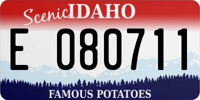 ID license plate E080711