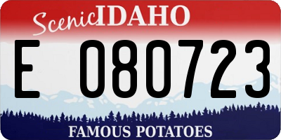 ID license plate E080723