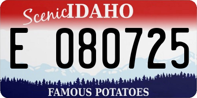 ID license plate E080725