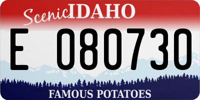 ID license plate E080730