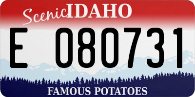 ID license plate E080731