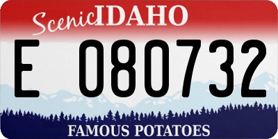ID license plate E080732