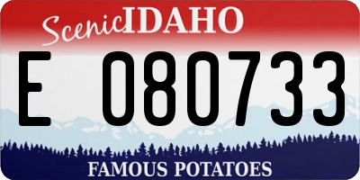 ID license plate E080733