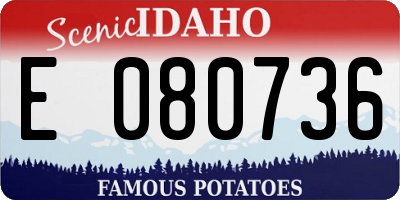 ID license plate E080736