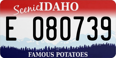 ID license plate E080739