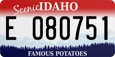 ID license plate E080751