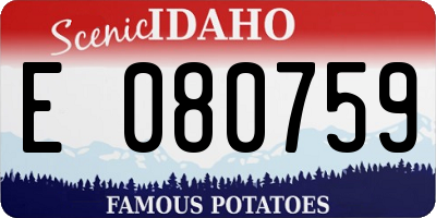 ID license plate E080759