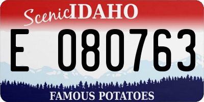 ID license plate E080763