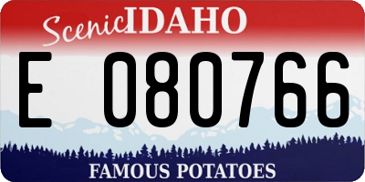 ID license plate E080766
