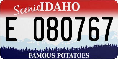 ID license plate E080767