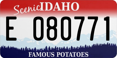 ID license plate E080771