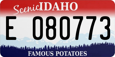 ID license plate E080773