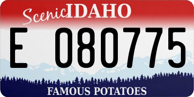 ID license plate E080775