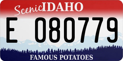 ID license plate E080779